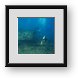 Buy Framed Print