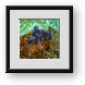 Buy Framed Print