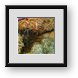 Buy Framed Print