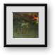 Buy Framed Print