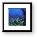 Lots of Grunts around the wreck Framed Print
