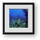 Buy Framed Print