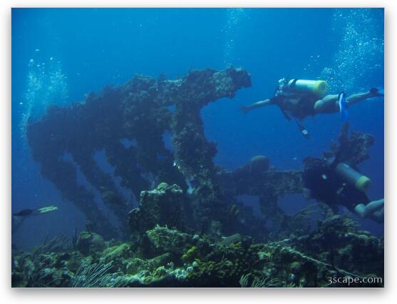 Divers around the wreck Fine Art Metal Print