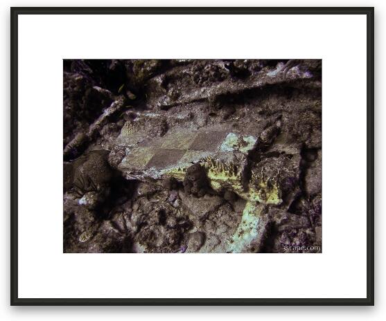 Tile floor, probably from the galley Framed Fine Art Print