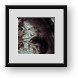 Buy Framed Print
