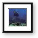 Divers around the wreck Framed Print