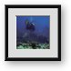 Buy Framed Print