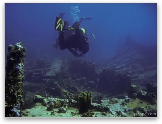 Divers around the wreck Fine Art Print