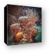 Coral and Coney fish Canvas Print