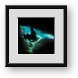 Buy Framed Print