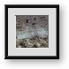 Buy Framed Print