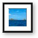 The Seal Dogs Framed Print