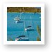 Boats in the North Sound Art Print