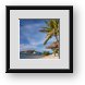 Buy Framed Print