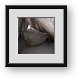 Buy Framed Print