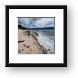 The beach on Sandy Cay (Key) Framed Print