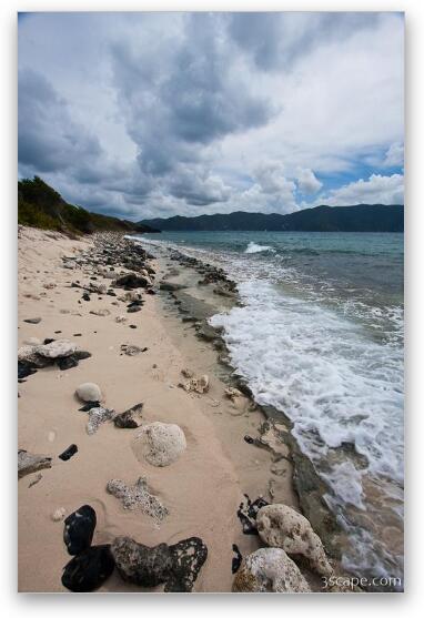The beach on Sandy Cay (Key) Fine Art Print