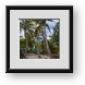 Buy Framed Print