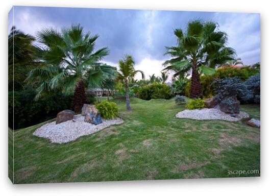 Palm trees and nice landscaping Fine Art Canvas Print