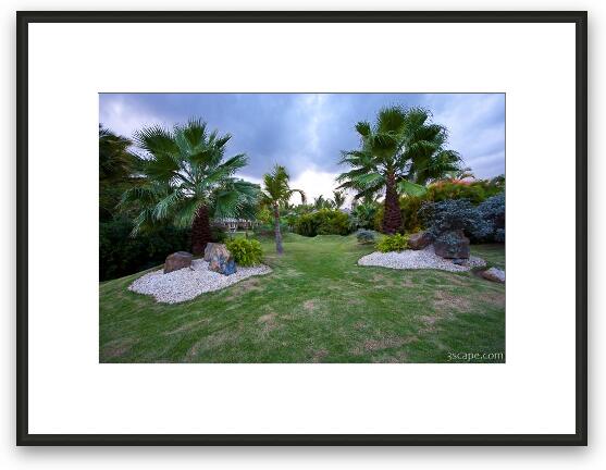 Palm trees and nice landscaping Framed Fine Art Print