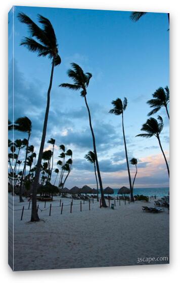 Palm trees on the beach at sunset Fine Art Canvas Print