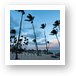 Palm trees on the beach at sunset Art Print