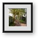 Buy Framed Print