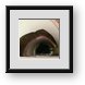 Buy Framed Print