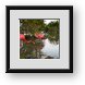 Buy Framed Print