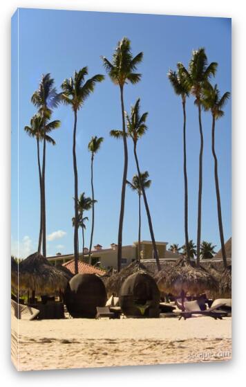 Wicker ball shaped loungers and palm trees at the beach Fine Art Canvas Print
