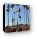 Wicker ball shaped loungers and palm trees at the beach Canvas Print