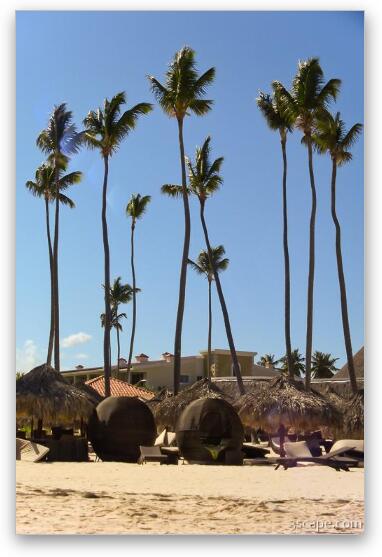 Wicker ball shaped loungers and palm trees at the beach Fine Art Metal Print