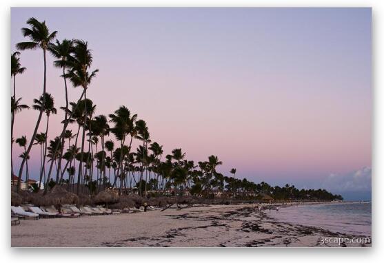 Punta Cana beach at sunrise Fine Art Print
