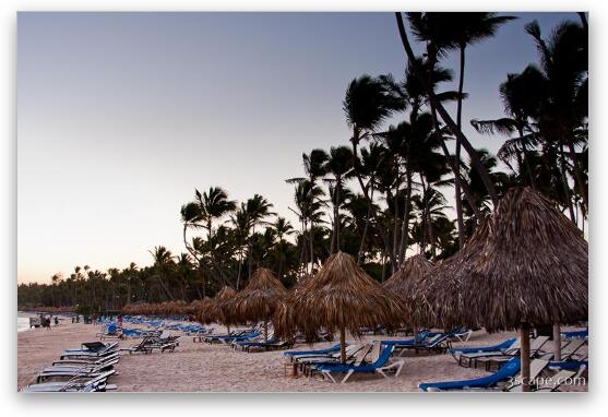 Punta Cana beach at sunrise Fine Art Print