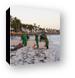Resort workers cleaning seaweed off the beach Canvas Print
