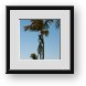 Buy Framed Print