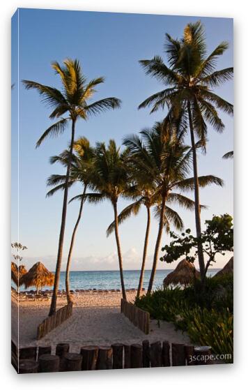 Palm trees on the resort beach Fine Art Canvas Print