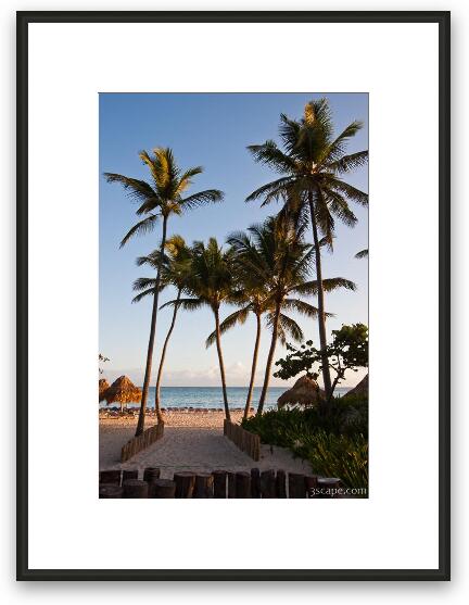 Palm trees on the resort beach Framed Fine Art Print