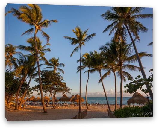 Punta Cana Cabanas and Palms Fine Art Canvas Print