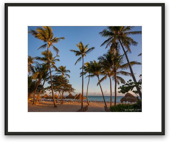 Punta Cana Cabanas and Palms Framed Fine Art Print