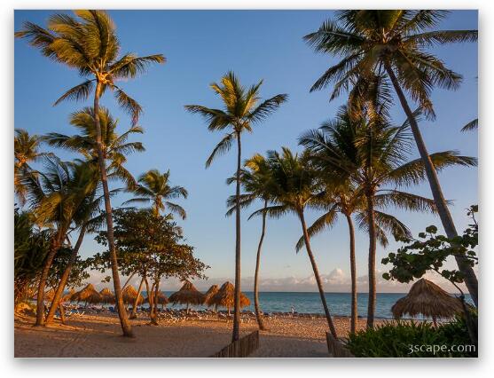 Punta Cana Cabanas and Palms Fine Art Metal Print