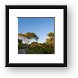 Melia Caribe landscaping Framed Print
