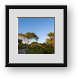 Buy Framed Print
