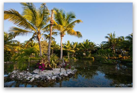 Ponds at Melia Caribe Fine Art Print