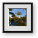 Buy Framed Print