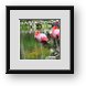 Buy Framed Print