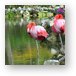 Buy Metal Print