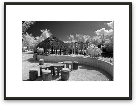 Melia Caribe Tropical VIP pool Framed Fine Art Print