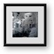 Buy Framed Print