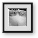 Buy Framed Print